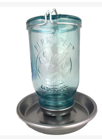 Tui Wild Bird - Mason Jar Water Feeder