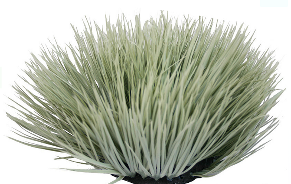 Reptile One Plant - Grey Spinifex Round 30cm