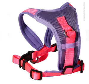 Pet One Harness - Comfy 46-56cm 20mm Purple/Pink