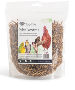 Topflite Mealworms Dried 125g