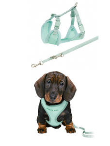 Junior Puppy Harness with Leash Mint