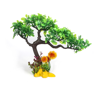 Plant Bonsai Pine 24cm