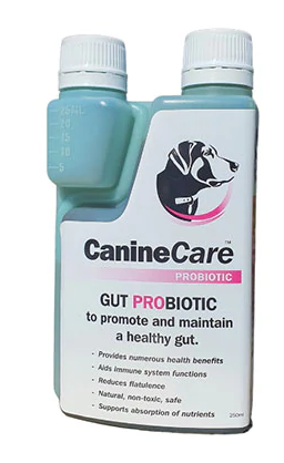 CanineCare Gut Probiotic 250ml