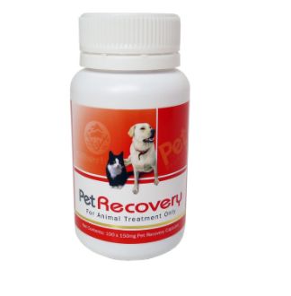 Pet Recovery Glucosamine 100cap