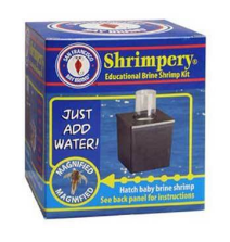 SF Bay Shrimpery Brine Shrimp Kit