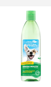 Fresh Breath Dental Health