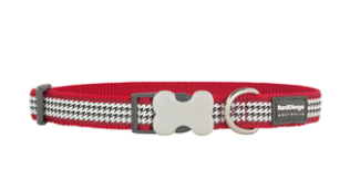 Red Dingo Dog Collar Fang It Red Small
