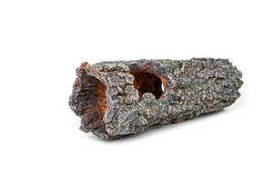 A/Orn Hollow Log
