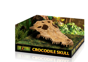 Exo Terra Decor - Crocodile Skull