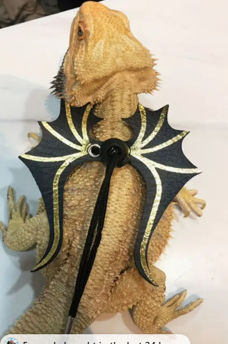 Reptile Costume - Dinosaur Wings