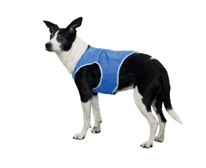 Trixie Cooling Vest XS