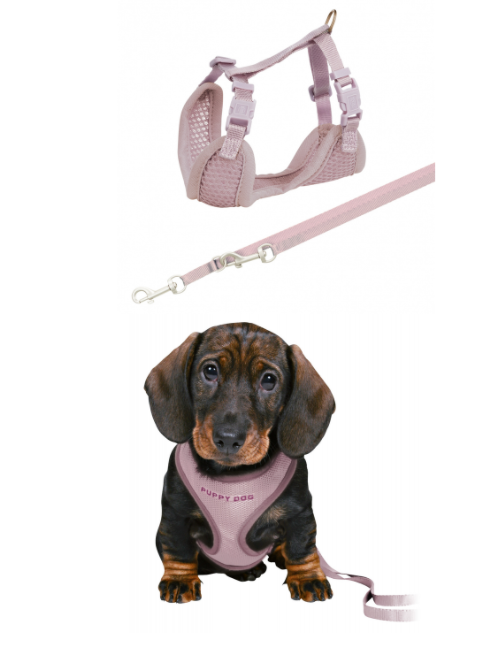 Junior Puppy Harness with Leash Lilac