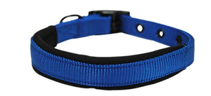 Yours Droolly Collar Foam Large Blue