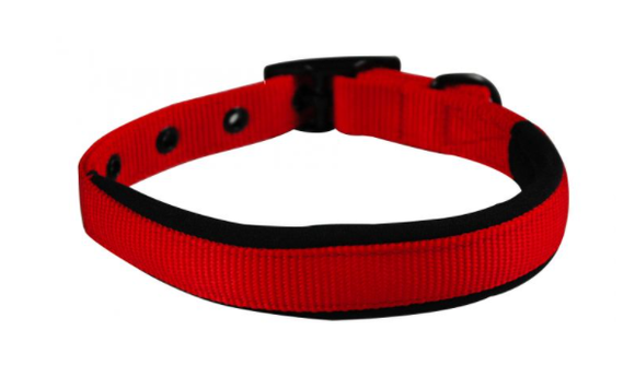 Yours Droolly Collar Foam XLarge Red