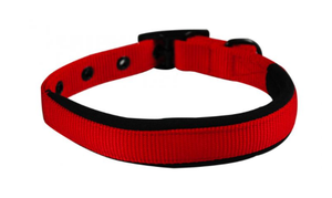 Yours Droolly Collar Foam Large Red
